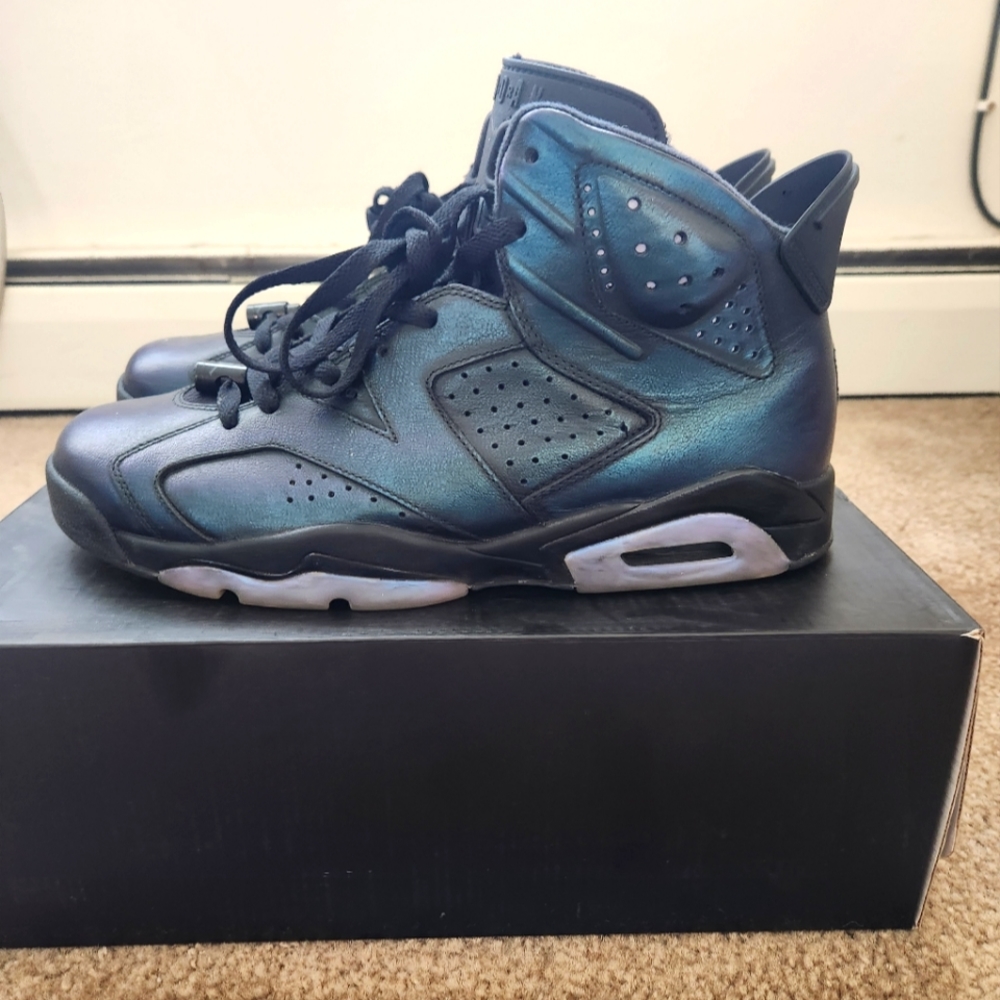Jordan 6 All Star Chameleon